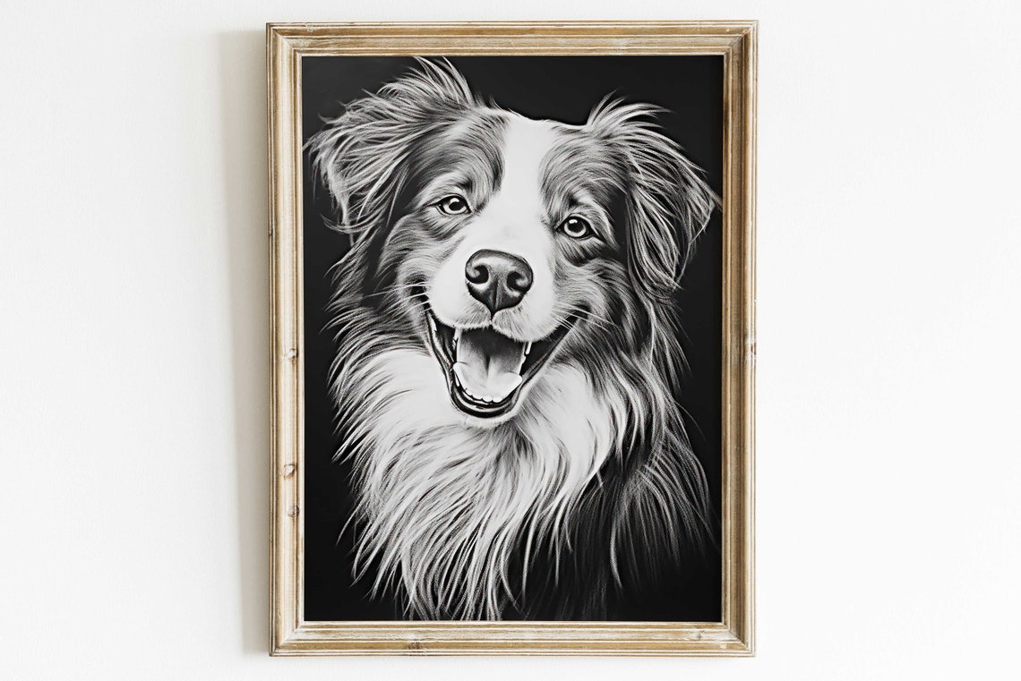 Black and White Australian Shepherd Smiling Dog Portrait Poster
