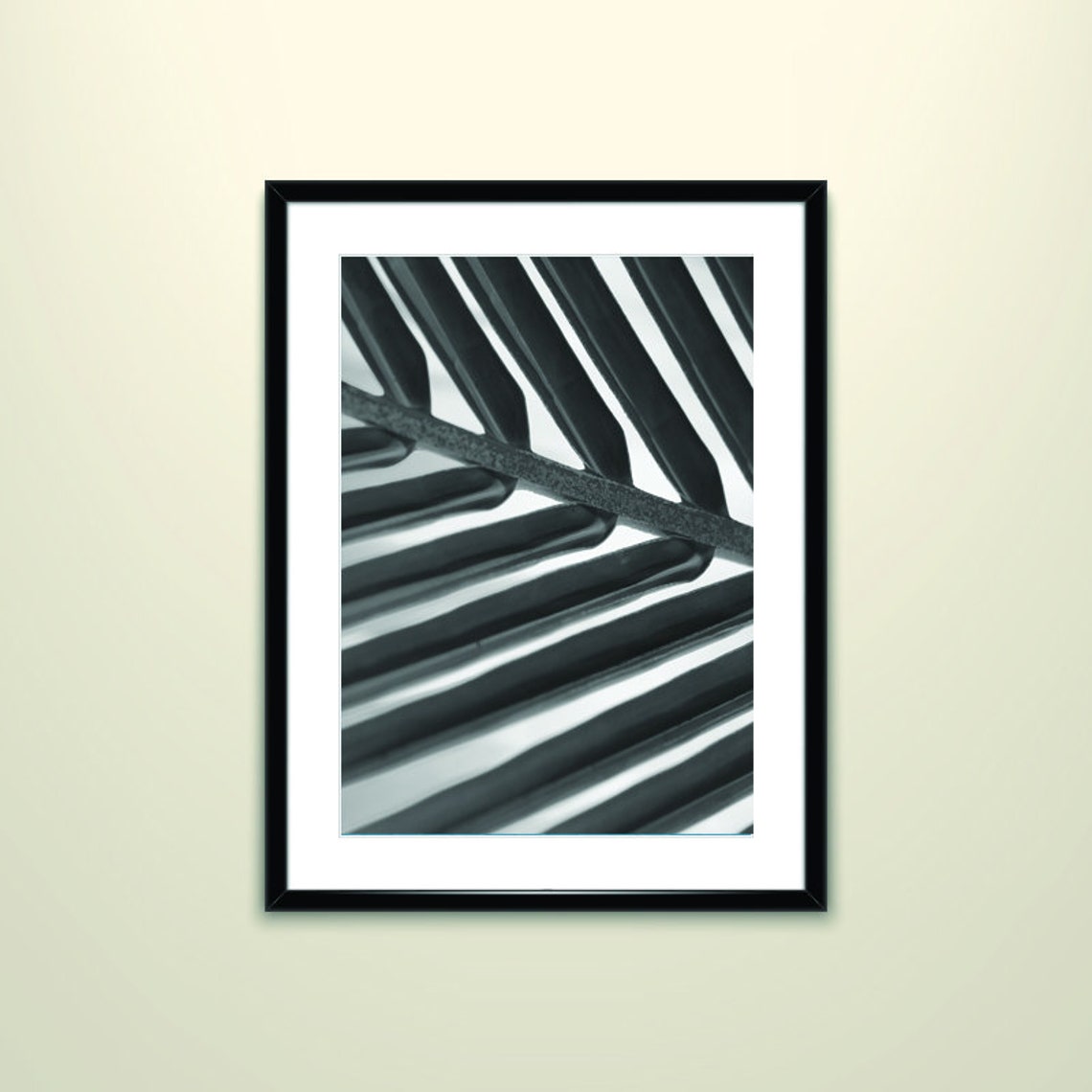 Black and White Palm Frond Close Up Tropical Leaf Photo Poster