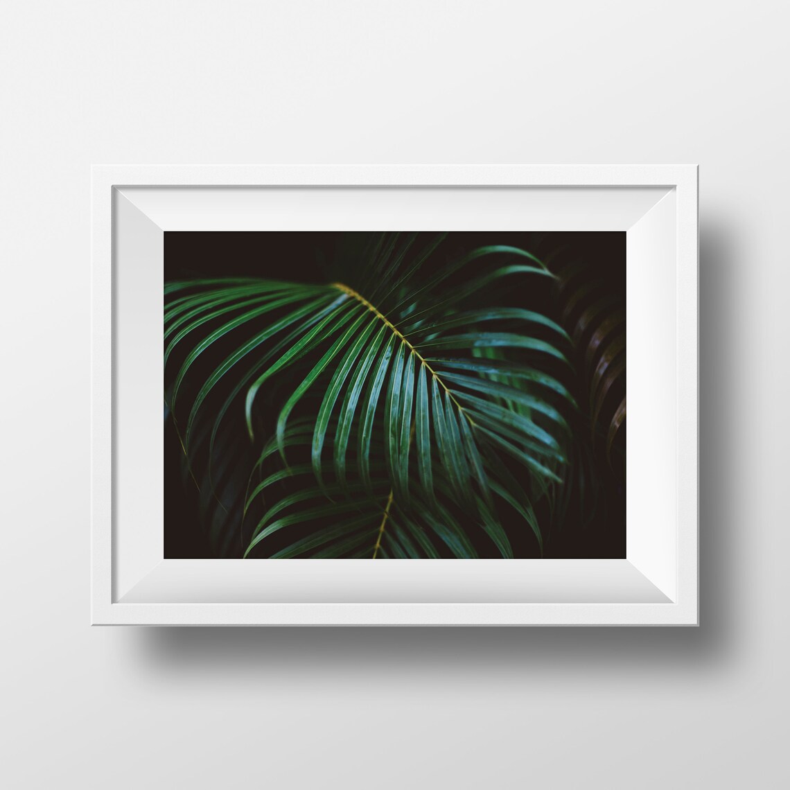 Dark Palm Frond Moody Tropical Botanical Photography Poster Art