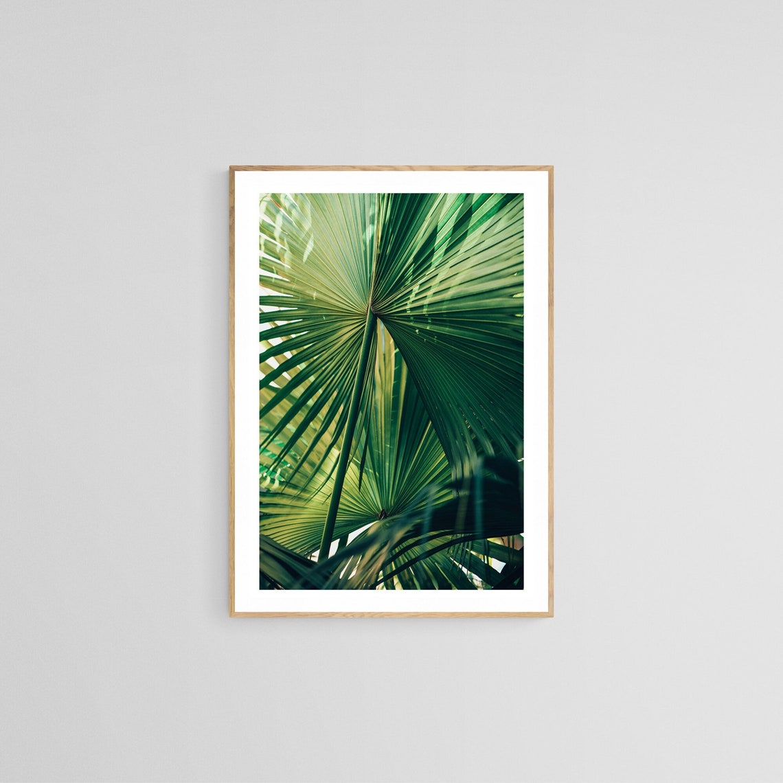 Palm Tree Photograph, Everything Was Green