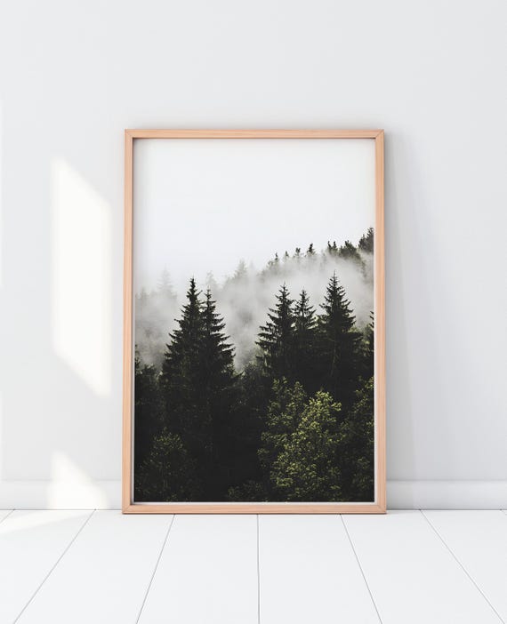 Moody Dark Forest Photography Print Foggy Landscape Nature Poster Wall Art