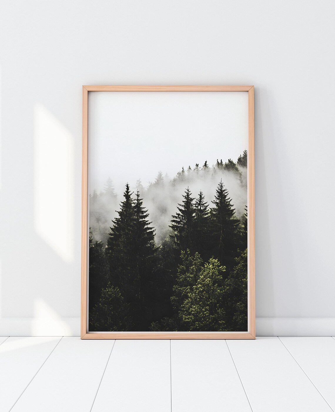 Moody Dark Foggy Evergreen Forest Photography Scenic Art Poster