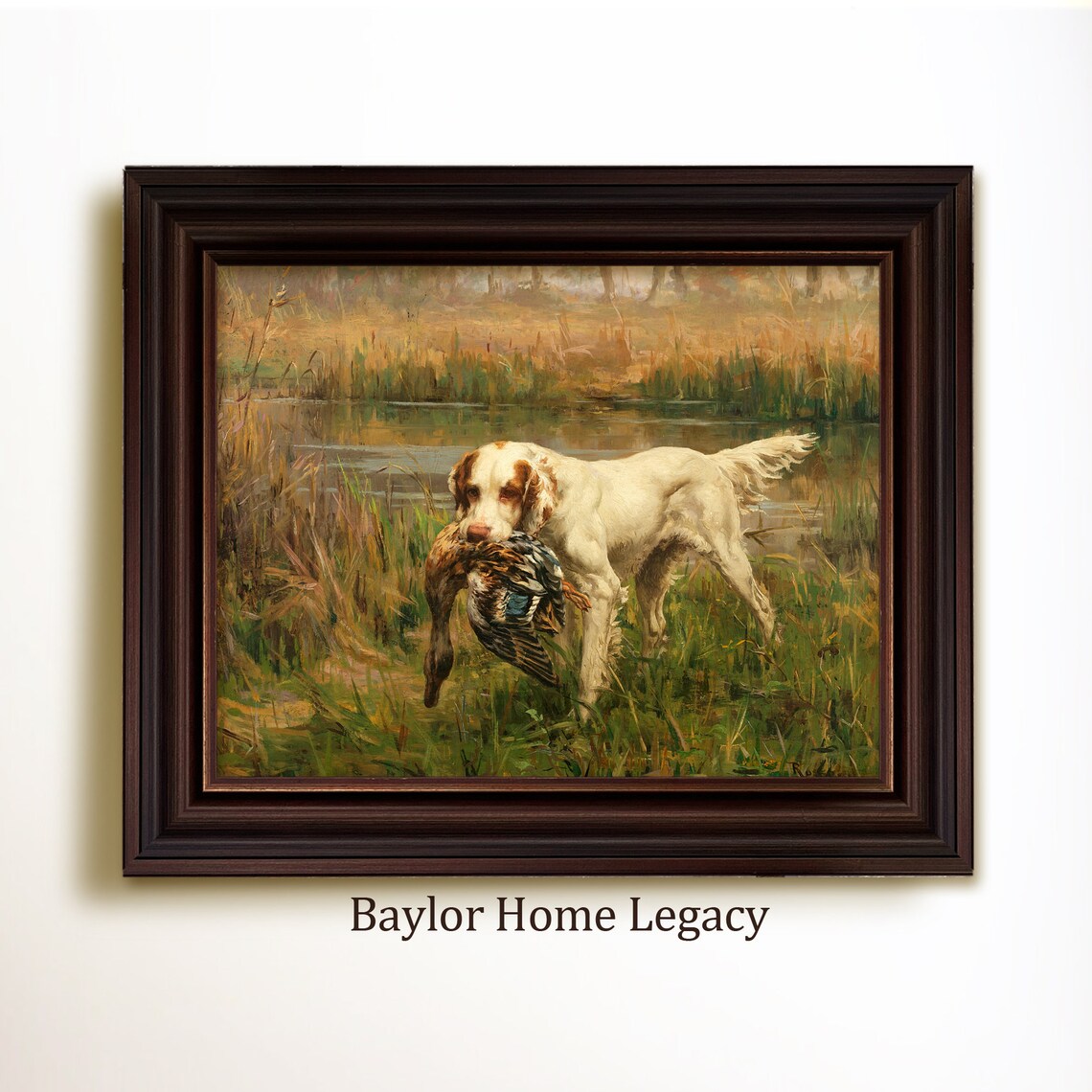 Pointer Retrieving Mallard, Vintage Hunting Scene Art Print