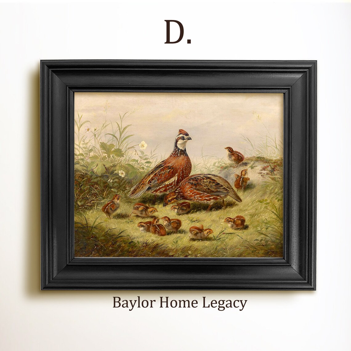 Bobwhite Quail and Chicks Oil Painting Art Print - Image 2