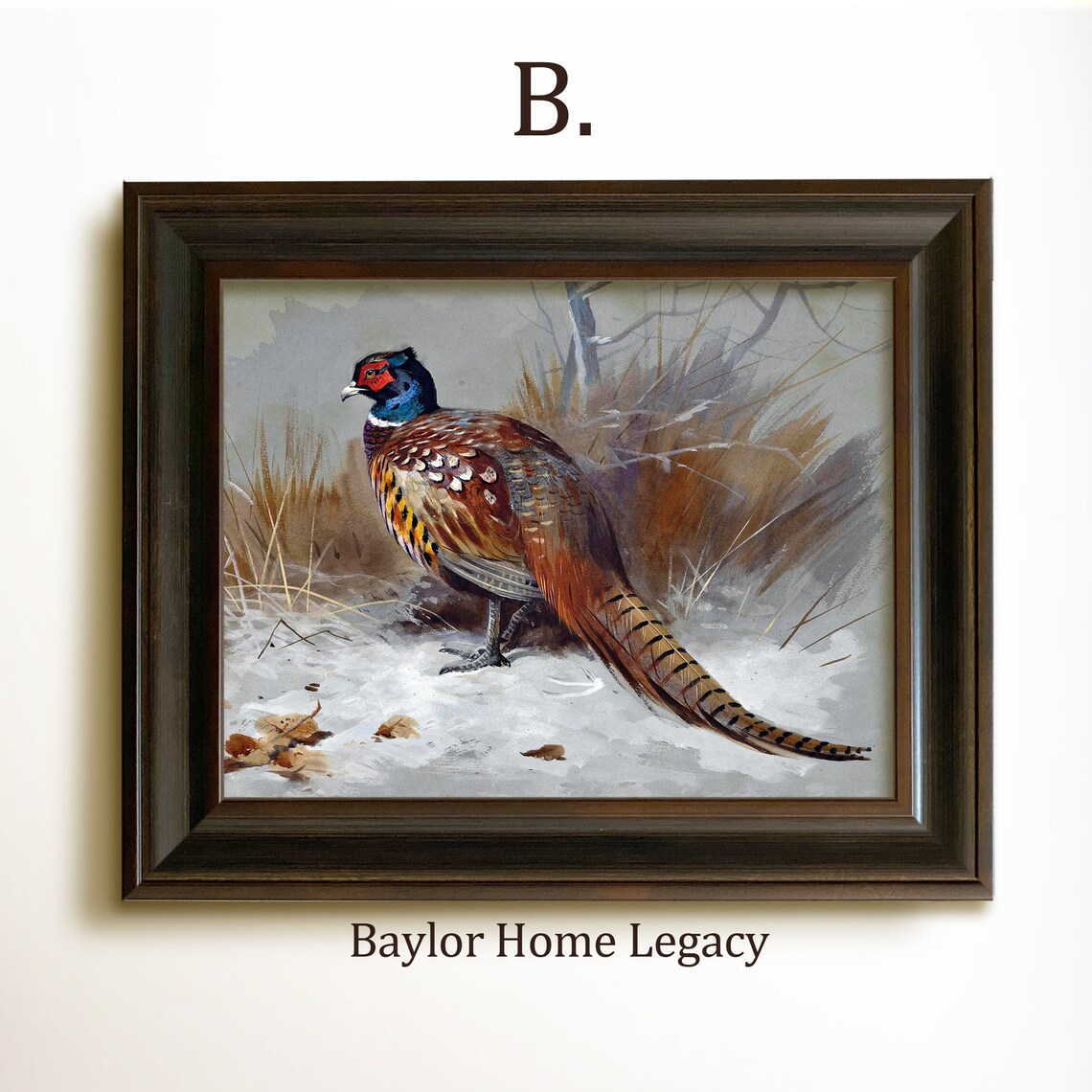 Ring-Neck Pheasant Vintage Bird Landscape Art Print - Image 4