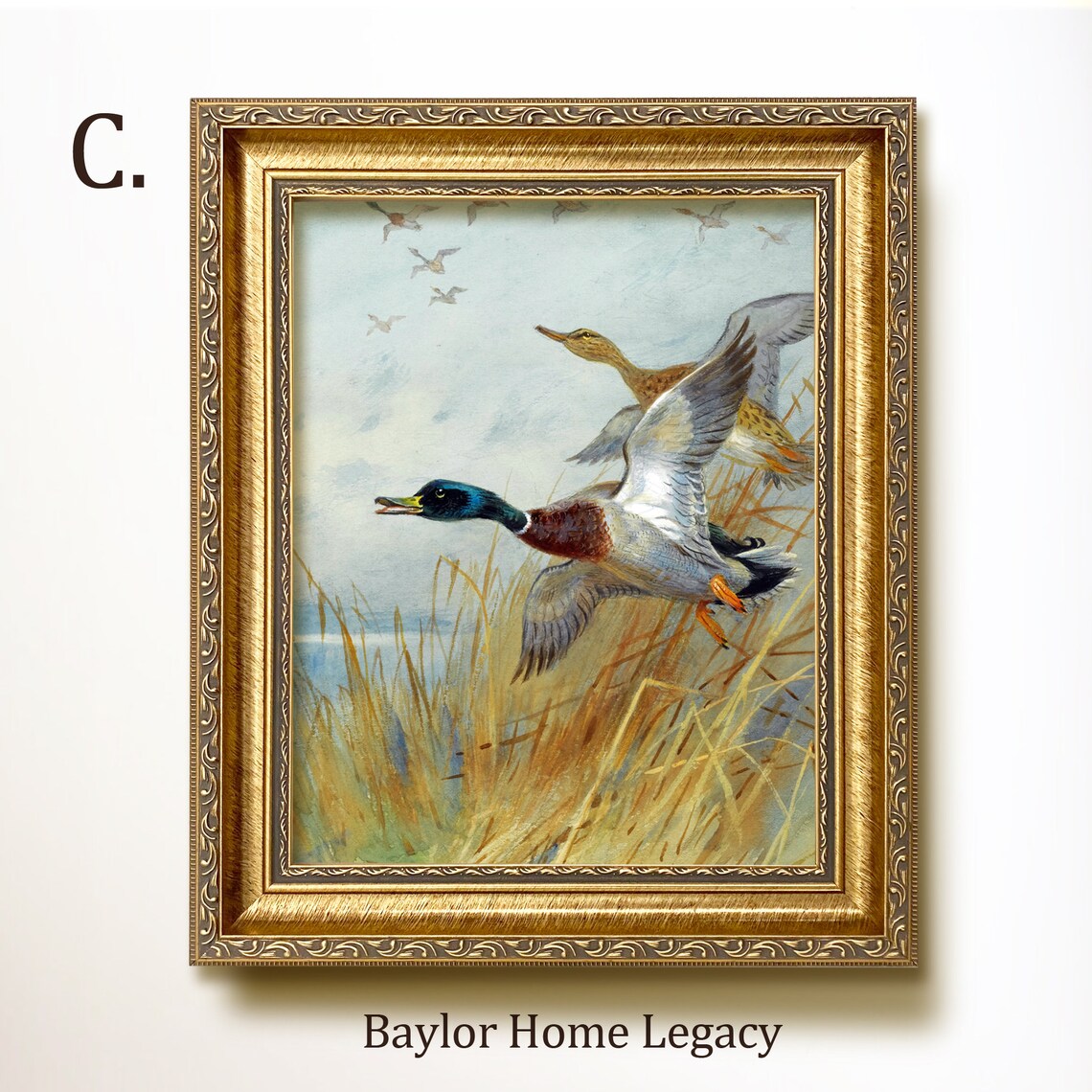 Mallard Ducks in Flight, Vintage Rustic Art Print - Image 4