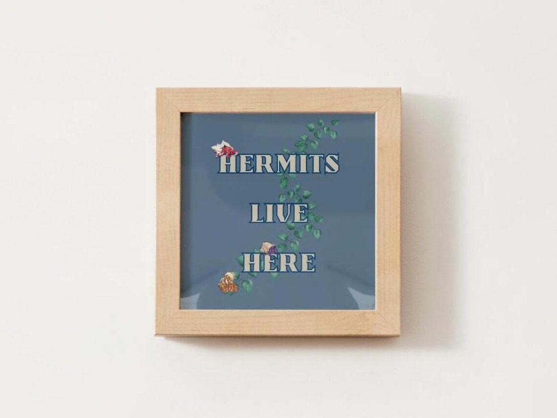 Hermit Crabs Live Here, Sea Life Art Print - Image 4