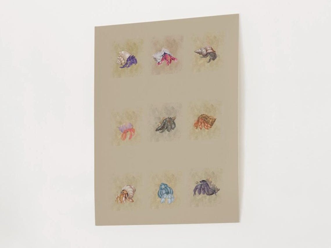 Hermit Crabs, Sea Life Art Print - Image 2