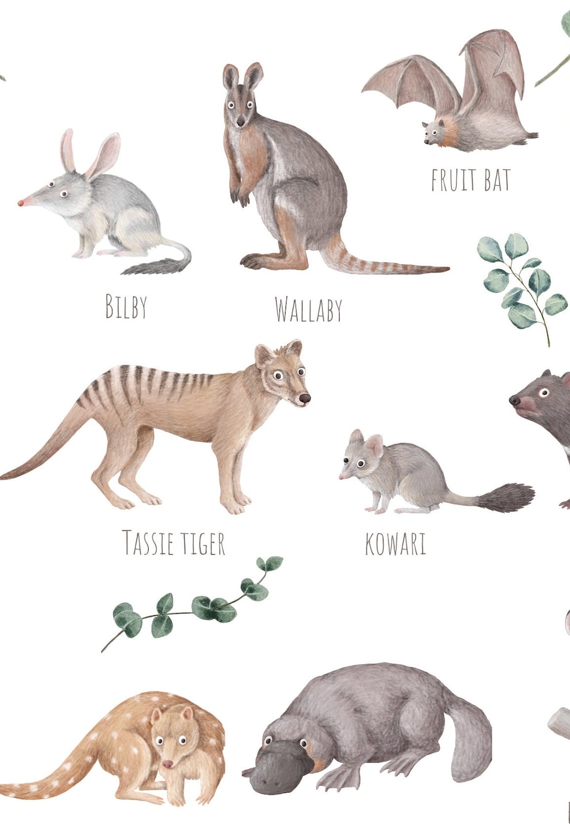 Australian Animals Poster, Aussie Wildlife Art Print - Image 3