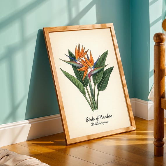 Bird Of Paradise Watercolor Print Vintage Botanical Art