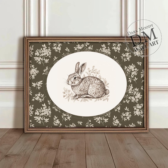 Rabbit Wall Art Vintage Animal Illustration With Floral Border