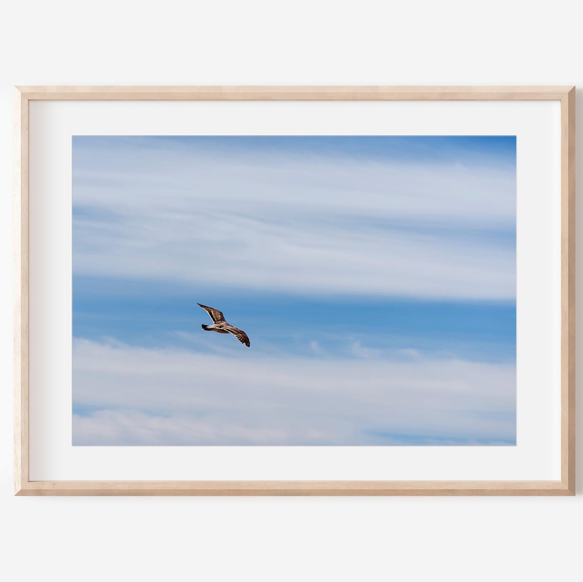 Majestic Bird Soaring Through Bright Blue Cloudy Sky Photo Poster