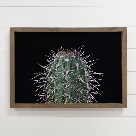 Spiky Green Cactus With White Spines Black Background Photo Poster