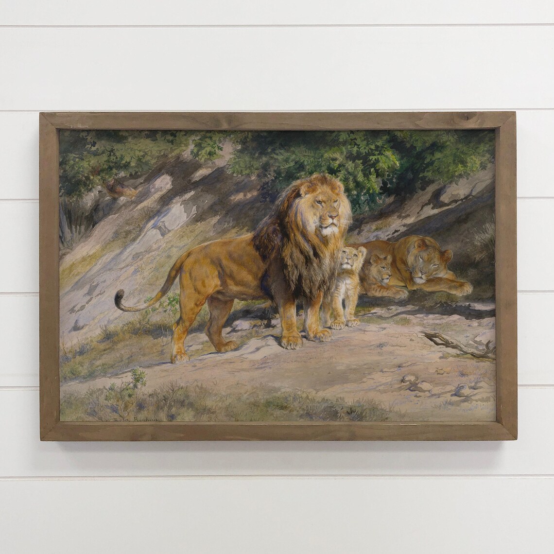 Vintage Lion Family Painting Male Lion Cubs Wildlife Art Print