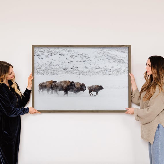 Bison In The Snow Framed Animal Photograph Ranch House Wooden Sign