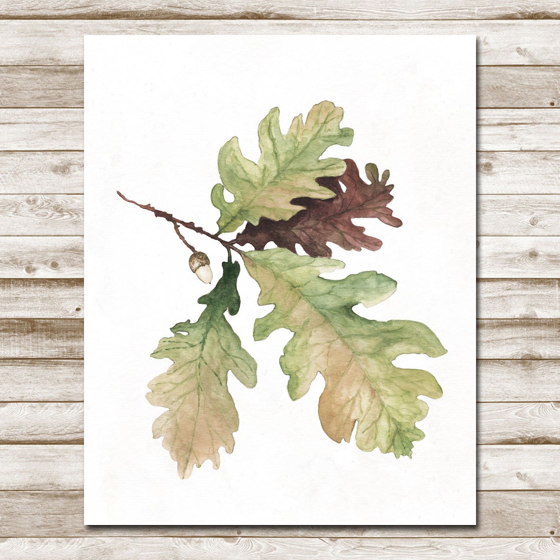 Watercolor Oak Leaves Acorn Branch Autumn Botanical Fall Foliage Poster - Image 4