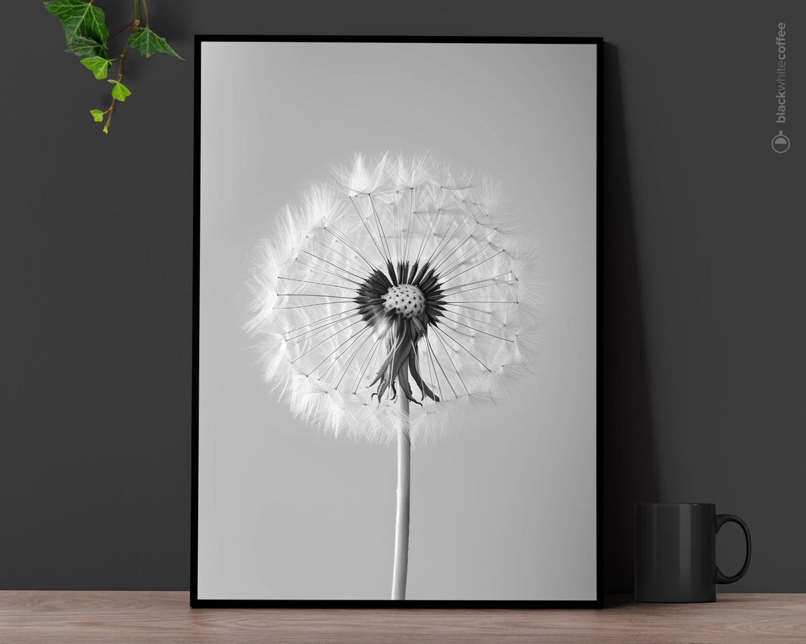 Dandelion Seed Head Macro Photography Black And White Art Print