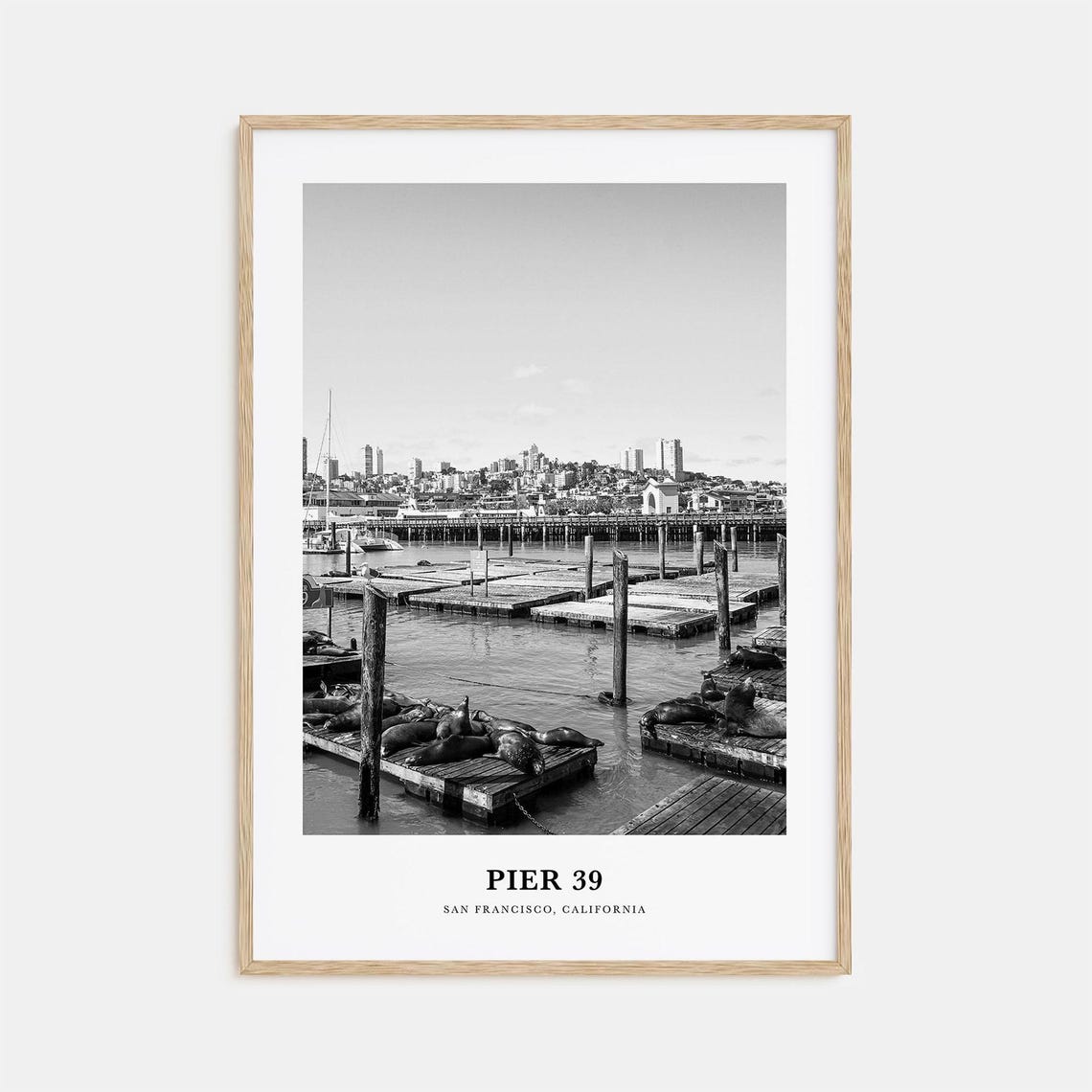 Pier 39 San Francisco Sea Lions Docks Black and White Poster