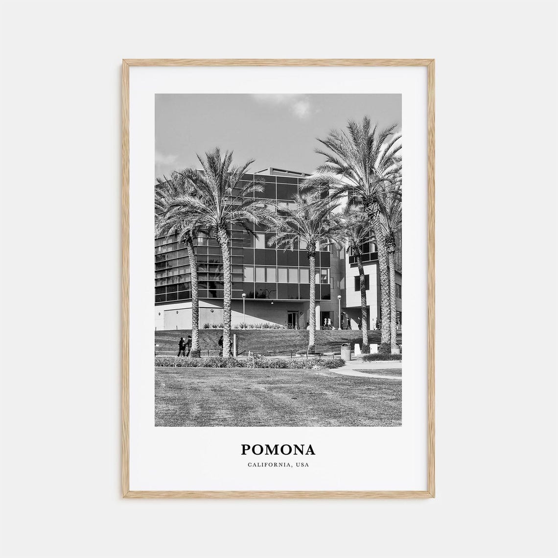 Pomona California Tall Palm Trees Downtown Street View Poster