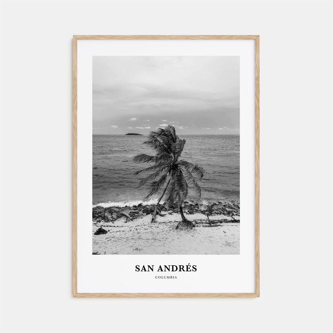 San Andres Caribbean Palm Tree Beach Black and White Photo Poster
