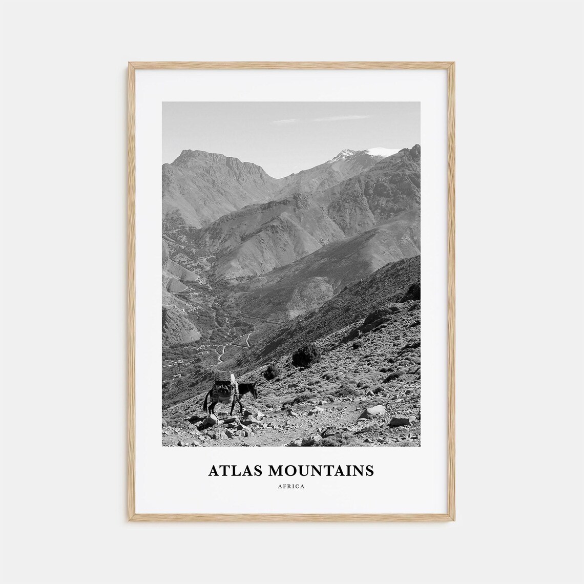 Atlas Mountains Africa Valley Trail Donkeys Black and White Poster