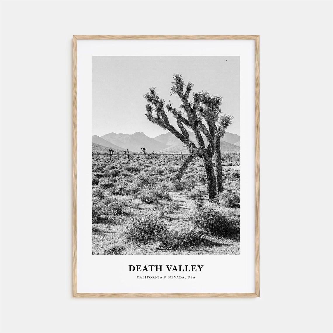 Death Valley Joshua Tree Desert Landscape Monochrome Photo Poster
