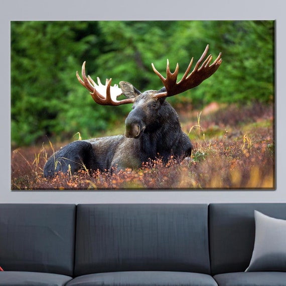 Floating Frame Framed Canvas Horn Artwork Bohemian Wall Art Animal Deer 3d Tree