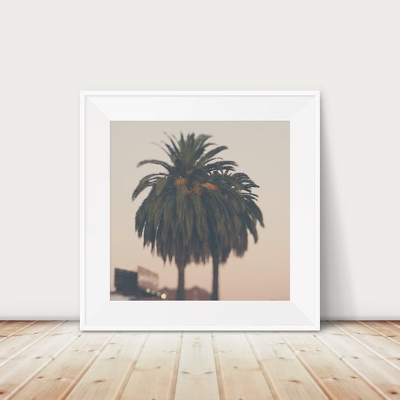 Tall Lonely Palm Tree At Dusk Soft Focus Tropical Photo Poster