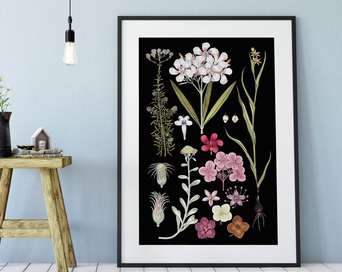 Floral Vintage Illustration, Black Botanical Print