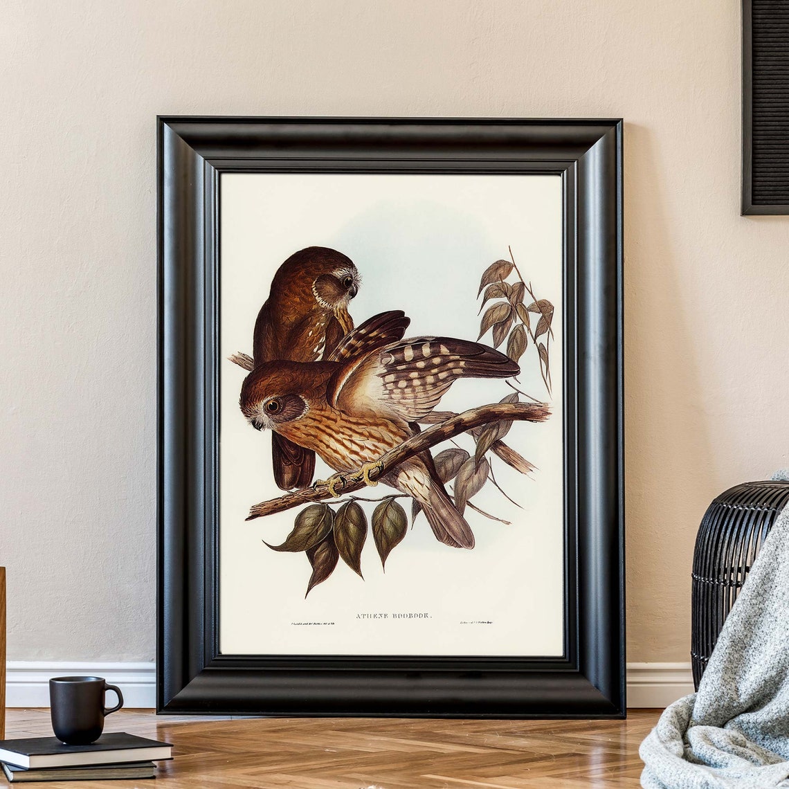 John Gould Southern Boobook Owls Perched On Branch Australia Poster - Image 3
