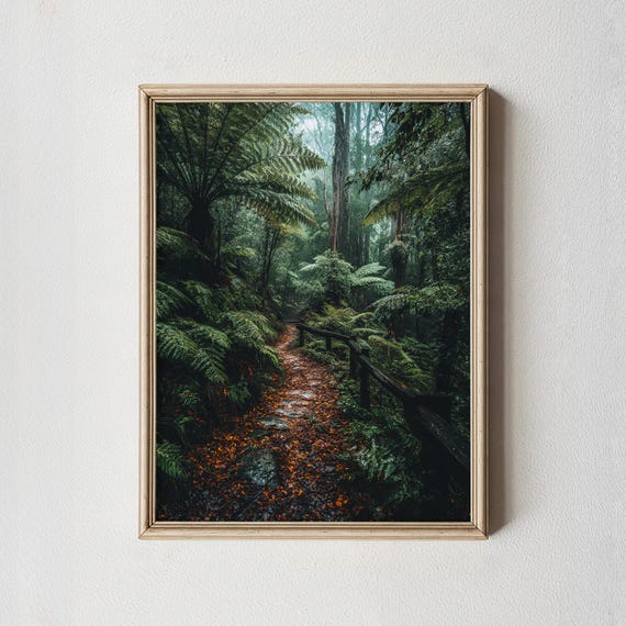 Otway Rainforest Print Fern Jungle Path Australia Nature Photography