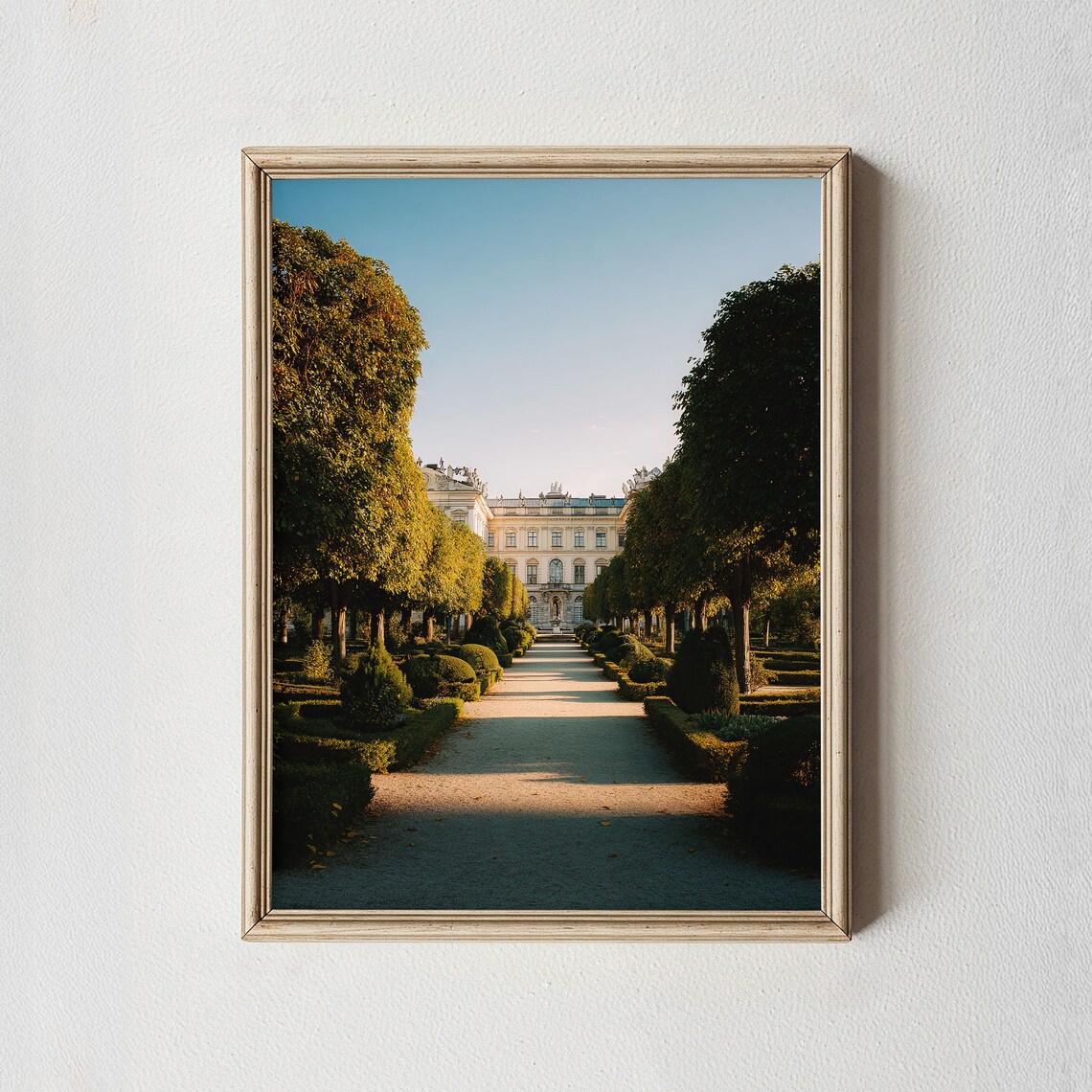 Vienna Palace Garden Tree Lined Avenue Summer Photography Poster