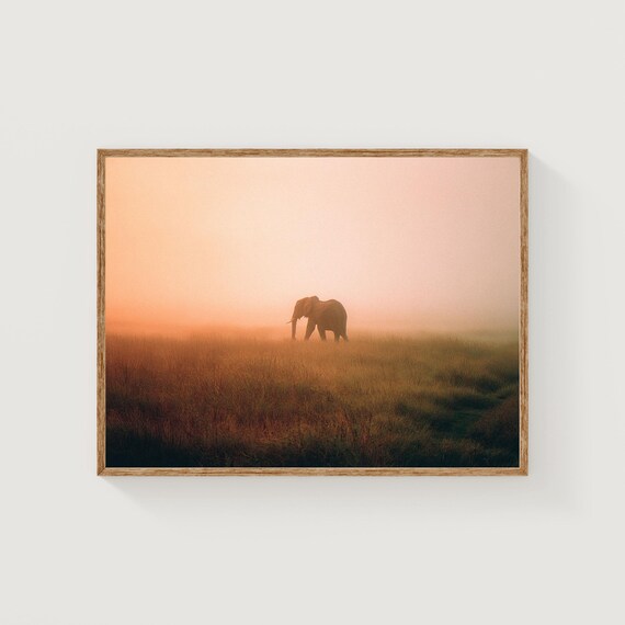 African Elephant Fine Art Print Misty Dawn Safari Photography