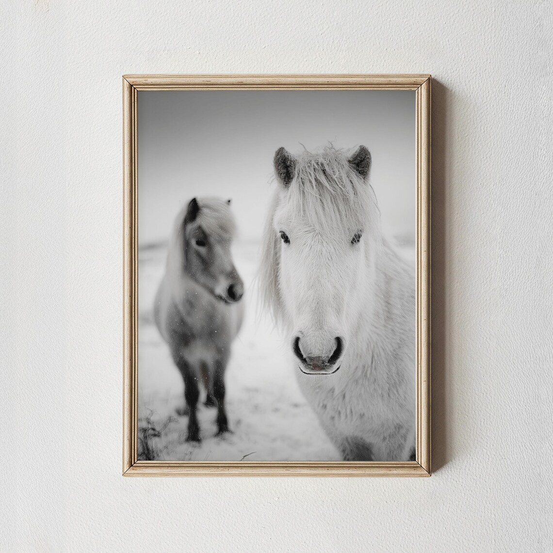 Icelandic Horses Black And White Winter Snow Photography Poster