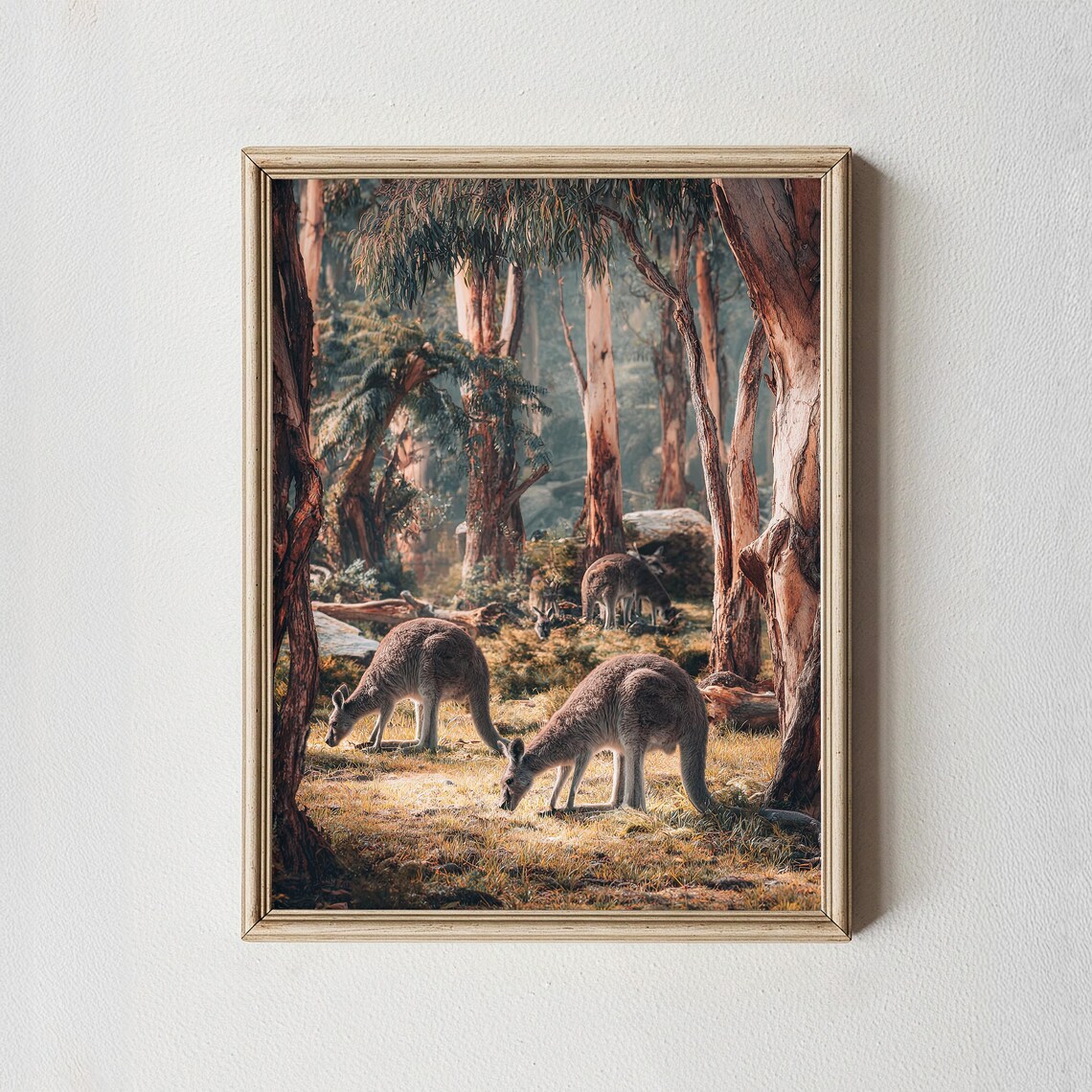 Kangaroo Print Australian Wildlife Photography Eucalyptus Forest Decor