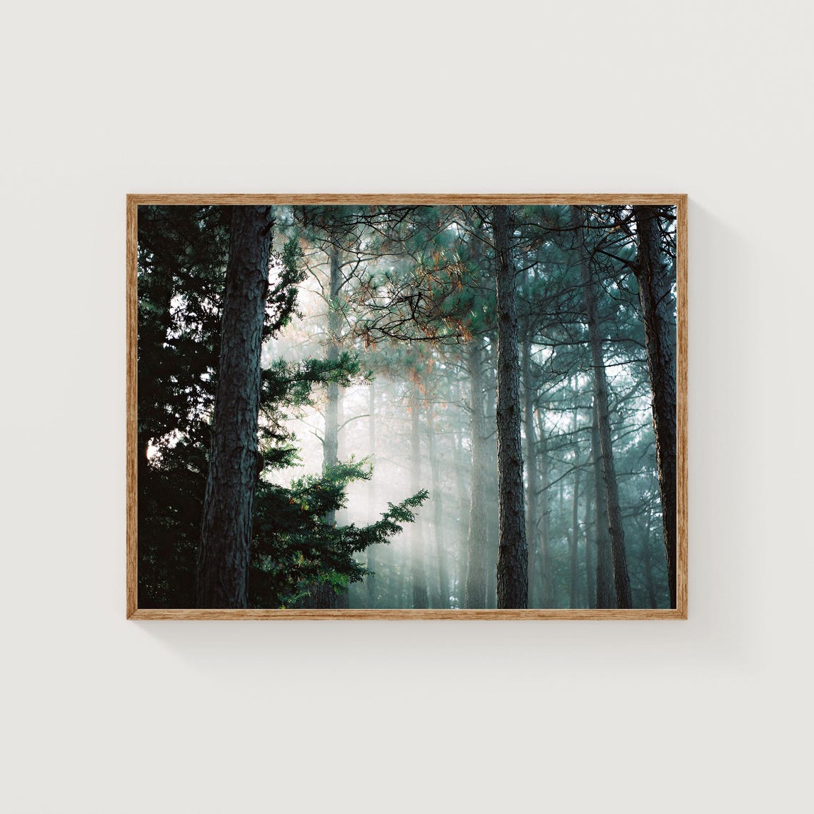 Misty Pine Forest Sun Rays Through Trees Film Photography Art Poster