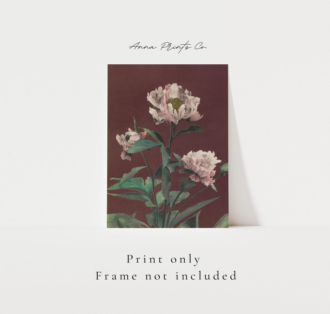 Japanese Peony Flowers On Deep Red Background Vintage Botanical Print - Image 3