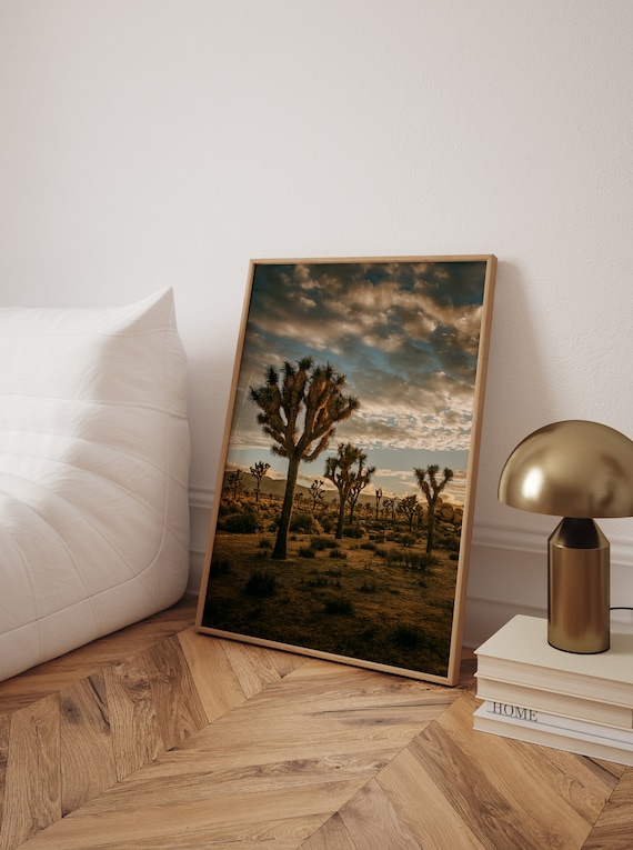 Joshua Tree National Park Desert Sunset Mojave Nature Photo Poster