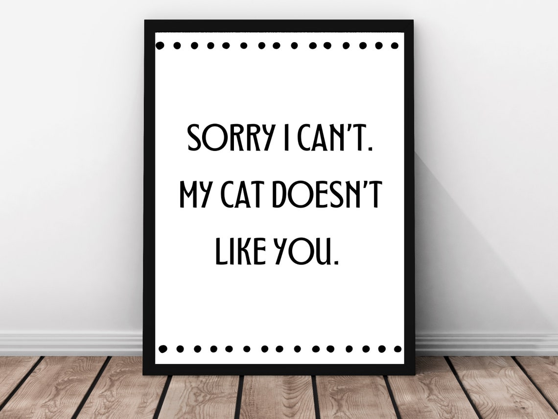 Sorry I Can't My Cat Doesn't Like You Funny Cat Quote Poster
