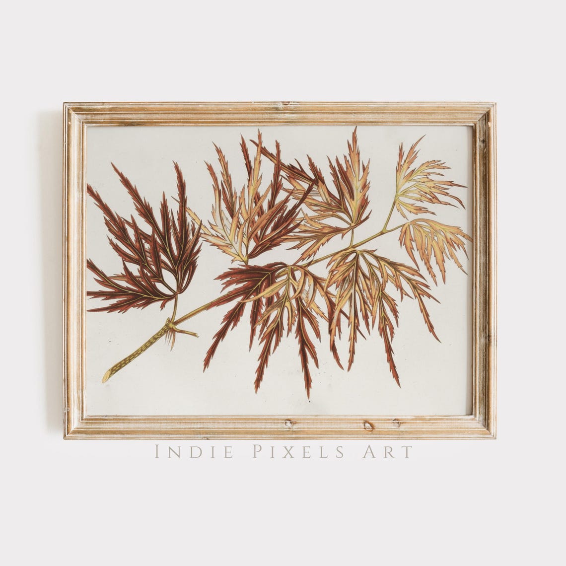 Japanese Maple Branch Botanical Print Rust Gold Fall Wall Art