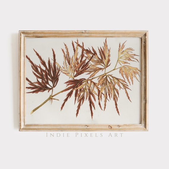 Japanese Maple Branch Botanical Print Rust Gold Fall Wall Art