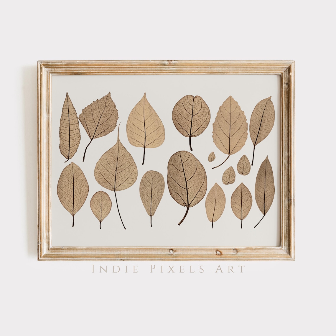 Pressed Leaf Skeletons Botanical Vintage Neutral Farmhouse Wall Art