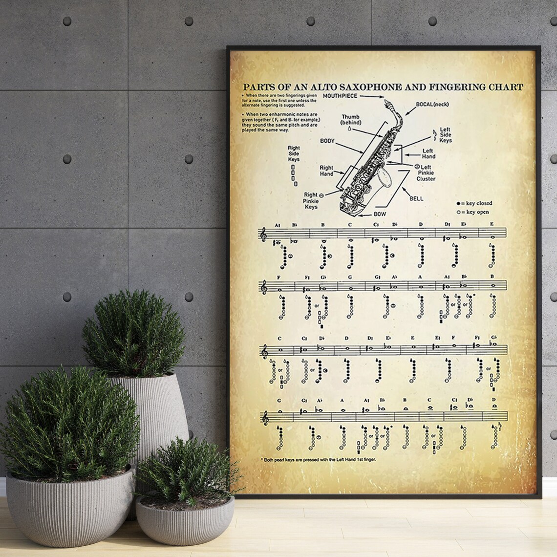 Alto Saxophone Parts And Fingering Chart Music Education Poster - Image 3