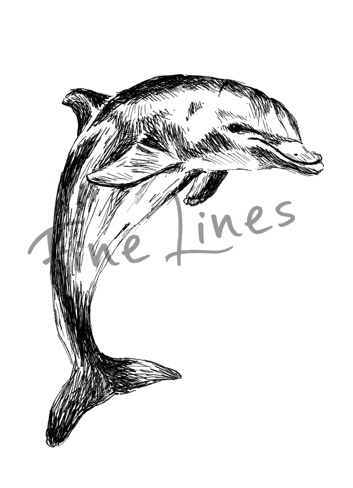 Leaping Dolphin Ink Sketch Ocean Animal Line Art Nautical Poster - Image 2