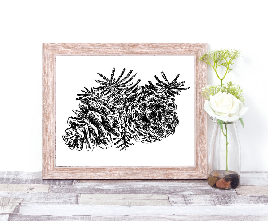 Pine Cones Evergreen Branch Botanical Ink Sketch Nature Wall Art