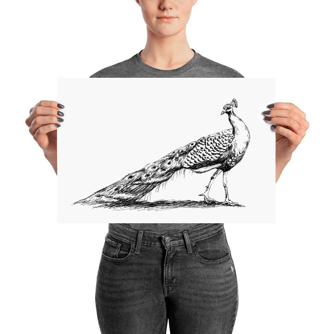 Peacock Ink Sketch Elegant Bird Line Art Black White Nature Poster - Image 2