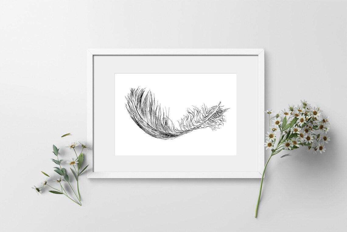 Delicate Feather Ink Sketch Poster Minimalist Black and White Nature Decor