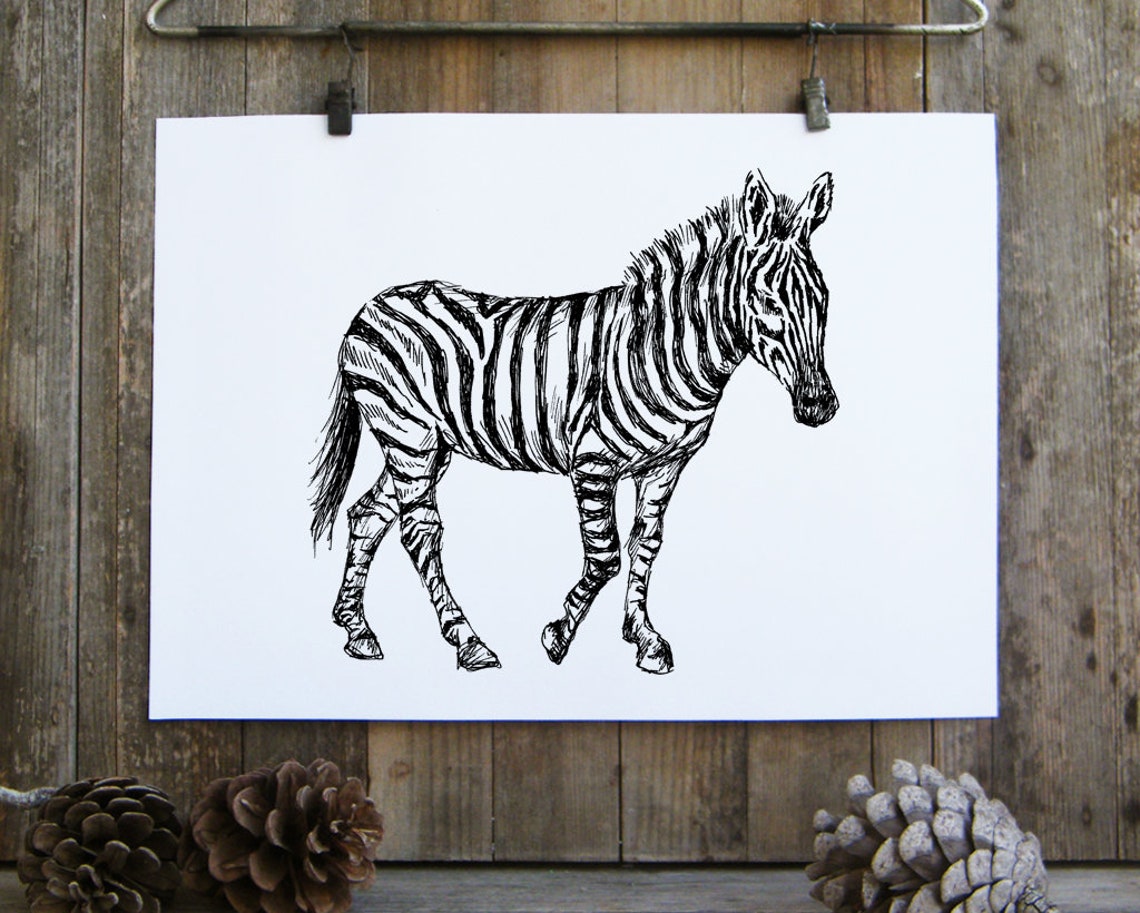 Zebra Standing Black White Ink Sketch Safari Animal Art Print - Image 2