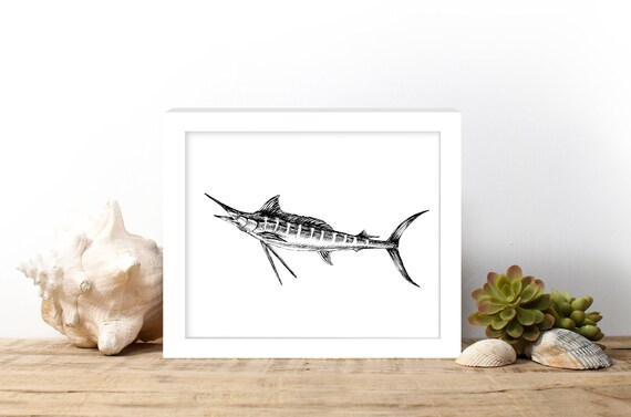 Marlin Black And White Nautical Line Art Fish Sketch Wall Art