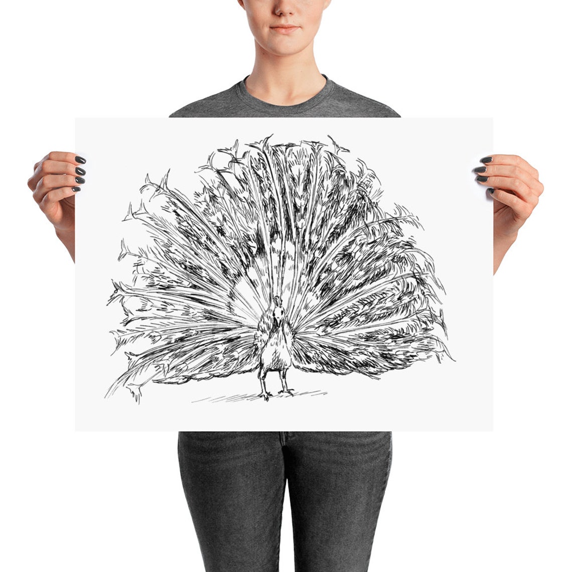 Peacock Black And White Sketch Feathers Fanned Ink Drawing Line Poster - Image 2